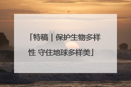 特稿｜保护生物多样性 守住地球多样美