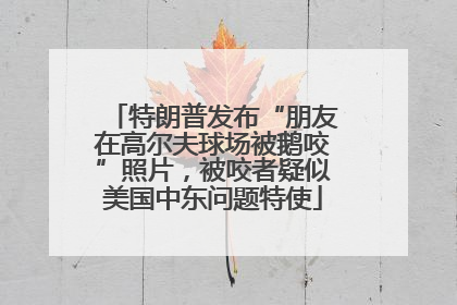 特朗普发布“朋友在高尔夫球场被鹅咬”照片,被咬者疑似美国中东问题特使
