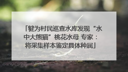 犍为村民巡查水库发现“水中大熊猫”桃花水母 专家：将采集样本鉴定具体种属