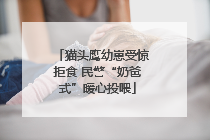猫头鹰幼崽受惊拒食 民警“奶爸式”暖心投喂