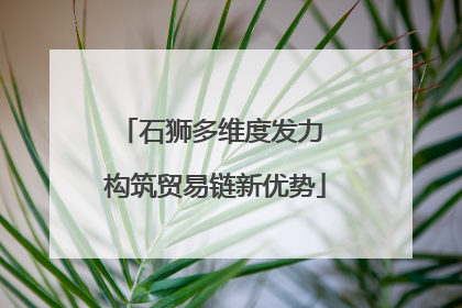 石狮多维度发力 构筑贸易链新优势