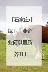 石家庄市规上工业企业何以量质齐升