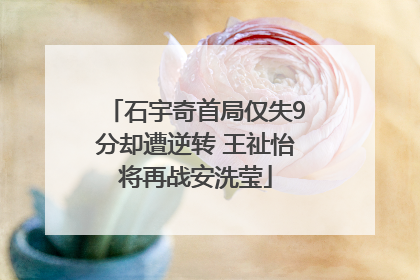 石宇奇首局仅失9分却遭逆转 王祉怡将再战安洗莹