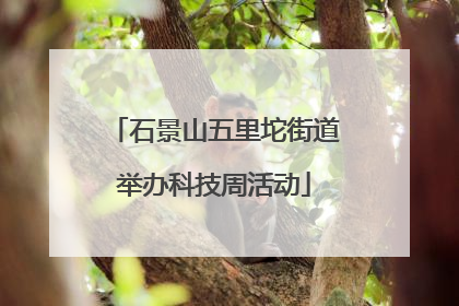 石景山五里坨街道举办科技周活动