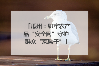 瓜州：织牢农产品“安全网”守护群众“菜篮子”