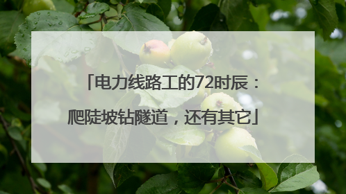 电力线路工的72时辰：爬陡坡钻隧道，还有其它