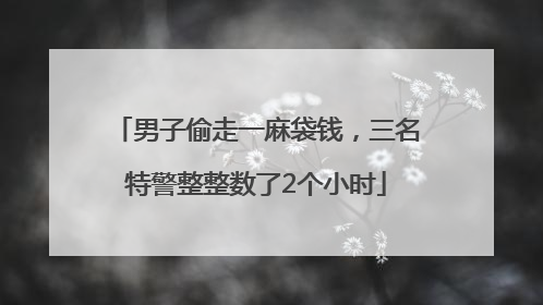 男子偷走一麻袋钱，三名特警整整数了2个小时