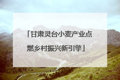 甘肃灵台小麦产业点燃乡村振兴新引擎