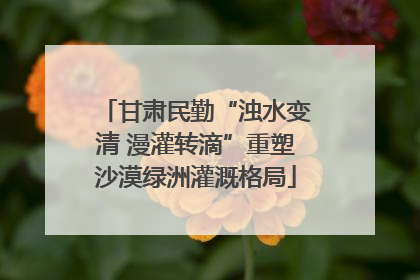 甘肃民勤“浊水变清 漫灌转滴”重塑沙漠绿洲灌溉格局
