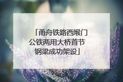 甬舟铁路西堠门公铁两用大桥首节钢梁成功架设