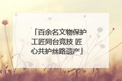 百余名文物保护工匠同台竞技 匠心共护丝路遗产