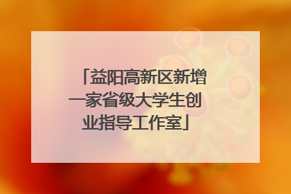 益阳高新区新增一家省级大学生创业指导工作室