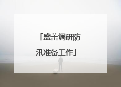 盛蕾调研防汛准备工作