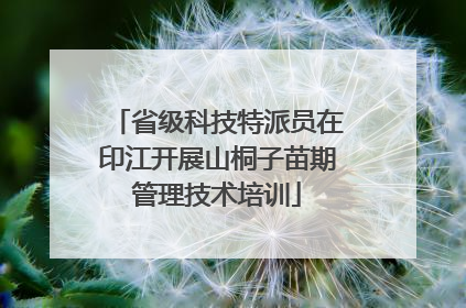 省级科技特派员在印江开展山桐子苗期管理技术培训