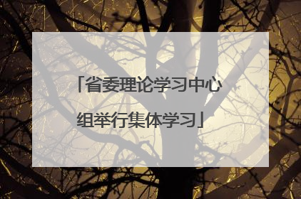 省委理论学习中心组举行集体学习