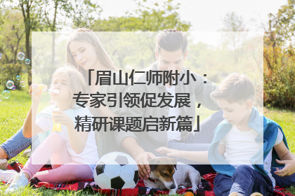 眉山仁师附小：专家引领促发展，精研课题启新篇