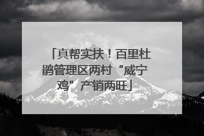 真帮实扶！百里杜鹃管理区两村“威宁鸡”产销两旺