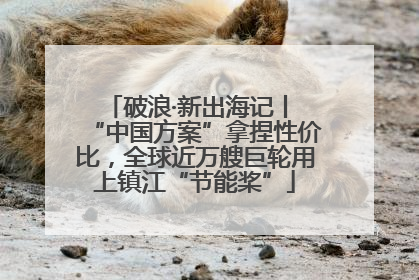 破浪·新出海记丨 “中国方案”拿捏性价比，全球近万艘巨轮用上镇江“节能桨”