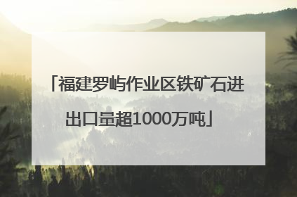 福建罗屿作业区铁矿石进出口量超1000万吨