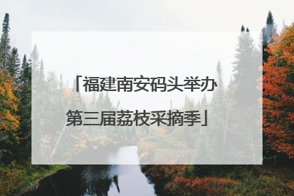 福建南安码头举办第三届荔枝采摘季