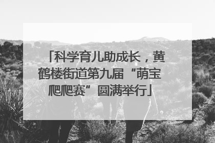 科学育儿助成长，黄鹤楼街道第九届“萌宝爬爬赛”圆满举行