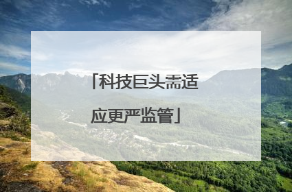 科技巨头需适应更严监管