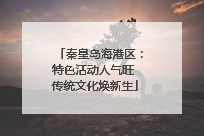 秦皇岛海港区：特色活动人气旺 传统文化焕新生