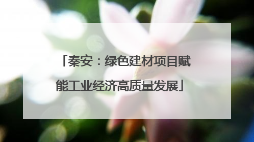 秦安：绿色建材项目赋能工业经济高质量发展