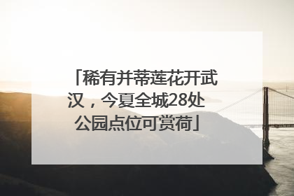 稀有并蒂莲花开武汉，今夏全城28处公园点位可赏荷