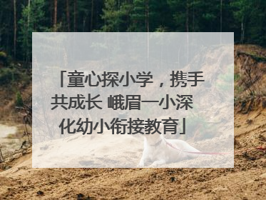 童心探小学，携手共成长 峨眉一小深化幼小衔接教育