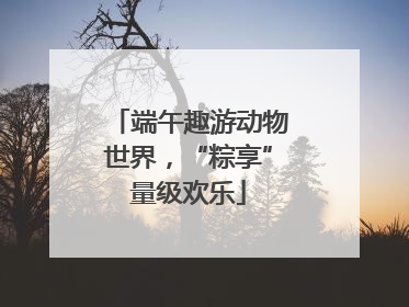 端午趣游动物世界，“粽享”量级欢乐