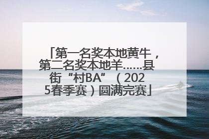 第一名奖本地黄牛，第二名奖本地羊……县街“村BA”（2025春季赛）圆满完赛