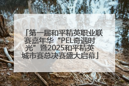 第一届和平精英职业联赛嘉年华“PEL奇遇时光”暨2025和平精英城市赛总决赛盛大启幕
