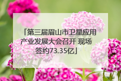第三届眉山市卫星应用产业发展大会召开 现场签约73.35亿