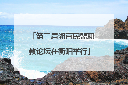 第三届湖南民盟职教论坛在衡阳举行