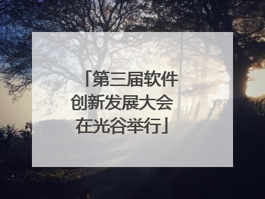 第三届软件创新发展大会在光谷举行