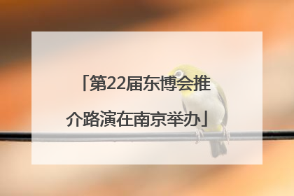 第22届东博会推介路演在南京举办