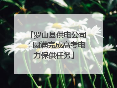 罗山县供电公司：圆满完成高考电力保供任务