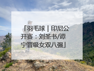 羽毛球｜印尼公开赛：刘圣书/谭宁晋级女双八强