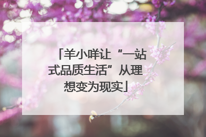 羊小咩让“一站式品质生活”从理想变为现实