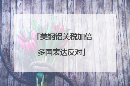 美钢铝关税加倍 多国表达反对