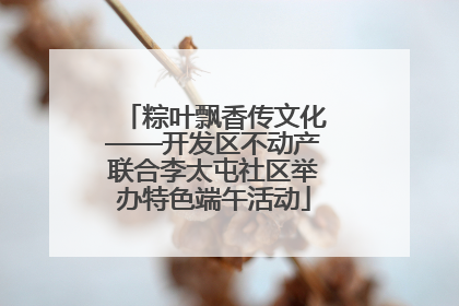 粽叶飘香传文化——开发区不动产联合李太屯社区举办特色端午活动