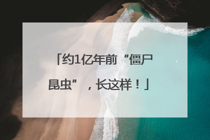 约1亿年前“僵尸昆虫”，长这样！
