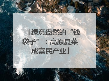 绿意盎然的“钱袋子”：高原夏菜成富民产业