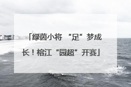 绿茵小将 “足”梦成长！榕江“园超”开赛