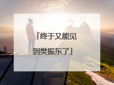 终于又能见到樊振东了