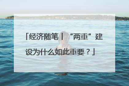 经济随笔丨“两重”建设为什么如此重要？