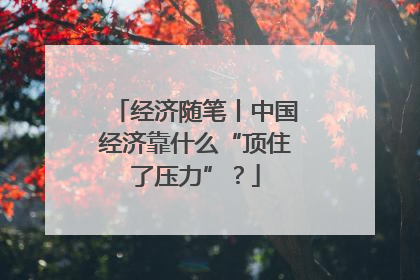经济随笔丨中国经济靠什么“顶住了压力”？