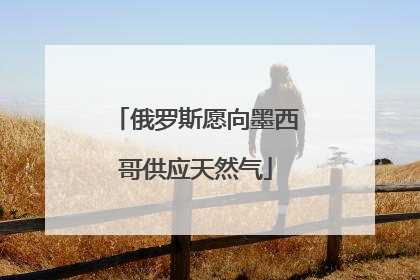 俄罗斯愿向墨西哥供应天然气