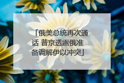 俄美总统再次通话 普京透露俄准备调解伊以冲突